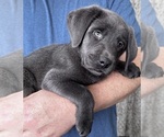 Small #23 Breeder Profile image