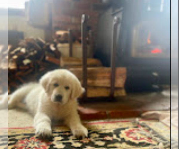 Medium Photo #9  Breeder Profile in JUNCTION CITY, OR, USA
