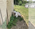 Small #8 Breeder Profile image