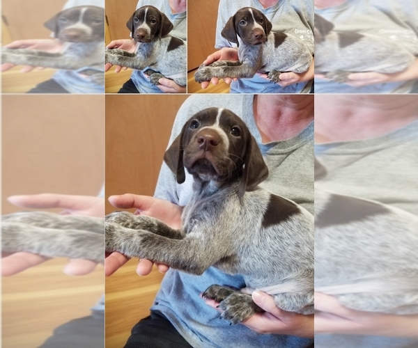 Medium Photo #1  Breeder Profile in ARDEN, NC, USA