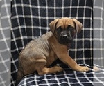 Small #13 Breeder Profile image