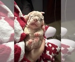 Small #9 Breeder Profile image