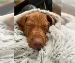 Small #11 Breeder Profile image