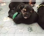 Small #22 Breeder Profile image