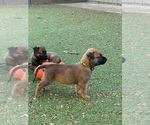 Small #9 Breeder Profile image