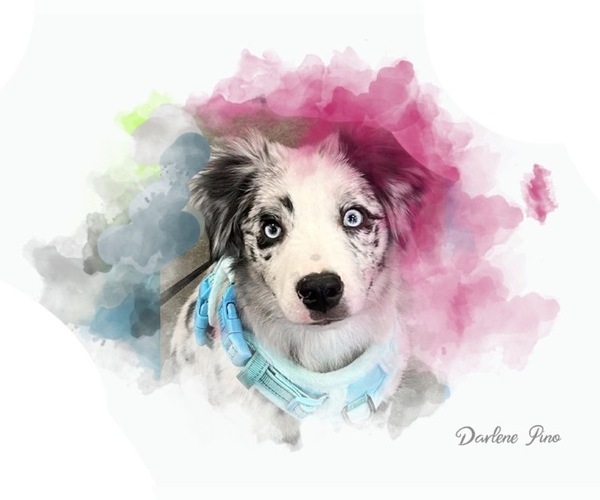 Medium Photo #5  Breeder Profile in GREENVILLE, GA, USA