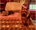 Small #13 Breeder Profile image