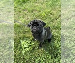 Small #22 Breeder Profile image
