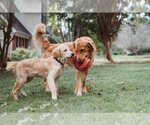 Small #2 Breeder Profile image