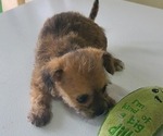 Small #1 Breeder Profile image