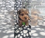 Small #265 Breeder Profile image