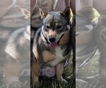 Small #17 Breeder Profile image