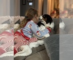 Small #12 Breeder Profile image