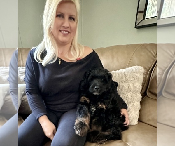 Medium Photo #3  Breeder Profile in LAKE PANASOFFKEE, FL, USA