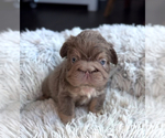 Small #7 Breeder Profile image