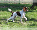 Small #8 Breeder Profile image