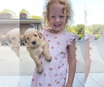 Small breeder photo