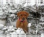 Small Photo #1  Breeder Profile in WEST SALEM, WI, USA