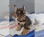 Small #2 Breeder Profile image