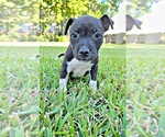 Small #16 Breeder Profile image