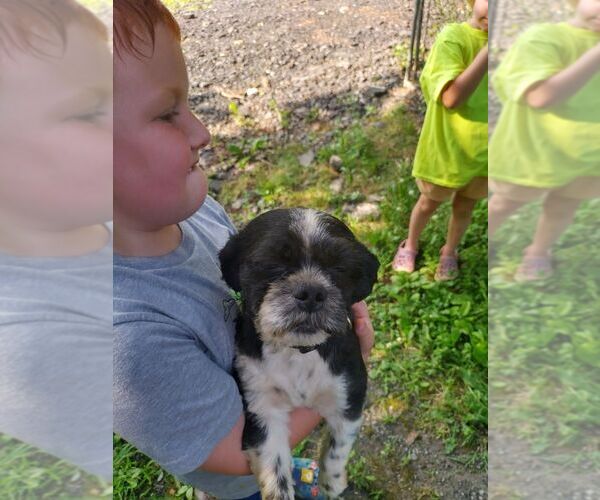 Medium Photo #8  Breeder Profile in PILOT MOUNTAIN, NC, USA