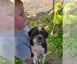 Small #7 Breeder Profile image