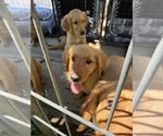 Small #3 Breeder Profile image