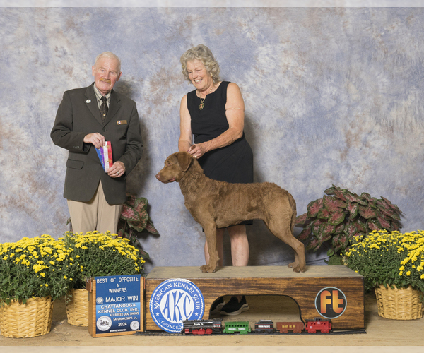 Medium Photo #3  Breeder Profile in WAGENER, SC, USA