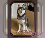 Small #9 Breeder Profile image