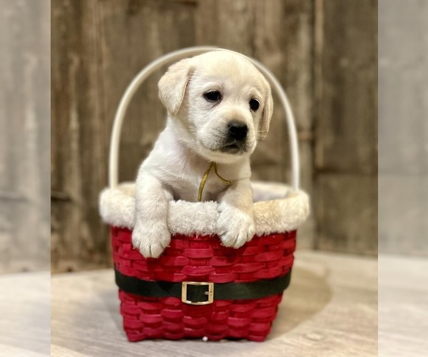 Medium Photo #5  Breeder Profile in FAIRFIELD, VT, USA