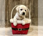 Small #4 Breeder Profile image