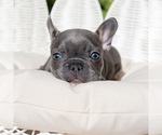 Small #11 Breeder Profile image