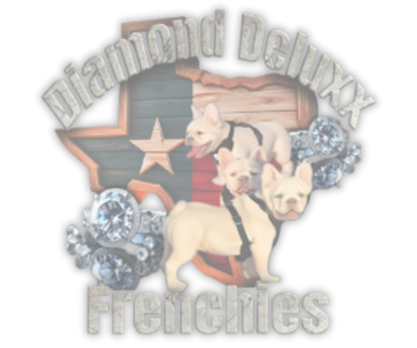 Medium Photo #1  Breeder Profile in BURLESON, TX, USA