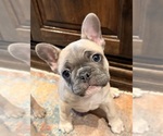 Small #5 Breeder Profile image