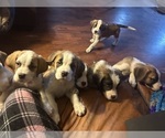 Small #5 Breeder Profile image
