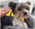 Small #9 Breeder Profile image