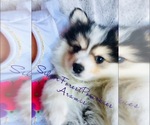 Small #12 Breeder Profile image