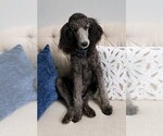 Small #10 Breeder Profile image