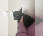 Small #2 Breeder Profile image