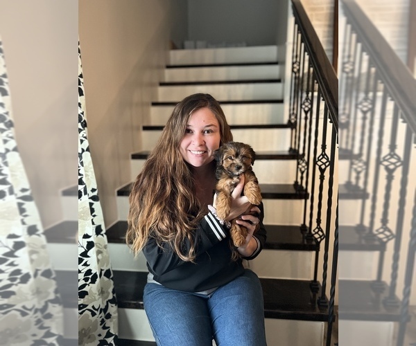 Medium Photo #1  Breeder Profile in BELDING, MI, USA