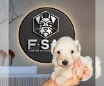 Small #28 Breeder Profile image