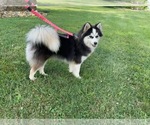 Small #34 Breeder Profile image