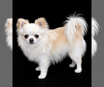 Small #10 Breeder Profile image