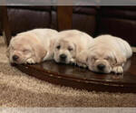 Small #7 Breeder Profile image