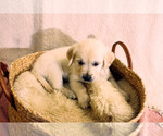 Small #23 Breeder Profile image