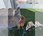 Small #32 Breeder Profile image