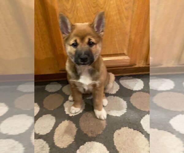 Medium Photo #1  Breeder Profile in CRYSTAL LAKE, IL, USA