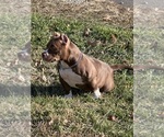 Small #11 Breeder Profile image