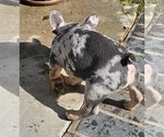 Small #73 Breeder Profile image