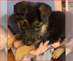 Small #5 Breeder Profile image